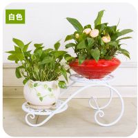 铁艺多层花架落地式多功能室内盆栽架欧式花盆架客厅阳台花架子 双层花架-[白色]