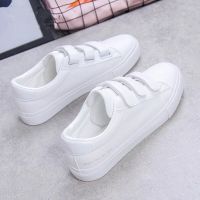 2021春夏季新款魔术贴小白鞋女学生百搭休闲女鞋韩版平底小白鞋 白色 55