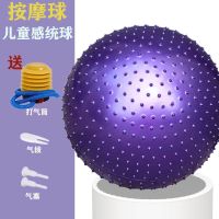 瑜伽球加厚成人防爆健身球儿童感统训练大龙球初学者按摩减肥大球 升级防爆[紫色]按摩/感统训练 45cm[身高150以下]