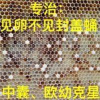 蜜蜂中蜂烂子病囊状幼虫病欧洲幼虫腐臭病中囊腐臭病巢虫 烂子停 蜜蜂中蜂烂子病囊状幼虫病欧洲幼虫腐臭病中囊腐臭病巢虫 烂子