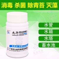 九行漂精粉 自来水 井水 野外饮用水消毒粉剂 漂白粉杀菌虫去异味