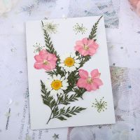 林小宅同款脸部贴花化妆干花贴脸饰品拍照写真仙女花瓣妆容小雏菊 花材包15(约11朵) 送胶水