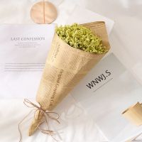 ins风干花花束情人 节生日毕业礼物七夕送女友北欧风拍照道具装饰 米黄花束(可代写贺卡)