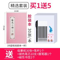 簪花小楷临摹字帖古风硬笔钢笔小清新楷书大学女生字体漂亮练字帖 簪花小楷-精简雅致版 [青铜]壹本