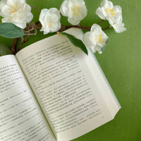 平凡的世界:普及本+平凡的世界 阅读指导丛书[套装2册] 初二初中生课外书阅读学生8下世界名著八年级阅读书目