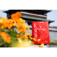 长安客 北溟鱼著 大唐版人类群星闪耀时 8个故事诗人传记大唐历史唐诗学习指南李白杜甫白居易王维柳宗元李商隐等文学诗歌