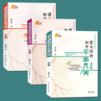 共3本 数学讲堂 爱与恨的初中平面几何 七年级八年级九年级/7年级8年级9年级 黄东坡培优新方法系列丛书 全新正版