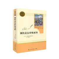 名著阅读课程化丛书钢铁是怎样炼成的八年级下册初二统编语文教材配套初中部编人教版必读苏联长篇小说人民教育出版社傅雷家书南方