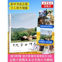 [赠海报]十九岁的时差王俊凯正版 19岁个人新书计入官方销量助力公益日本写真集作品集明星传记青春文学小说书籍排行榜