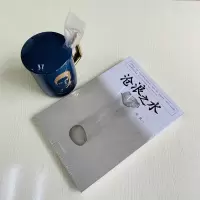 正版 沧浪之水 阎真著 中国现当代小说 爱情小说 现当代小说 阎真 活着之上 岁月 人民文学出版社正版书籍