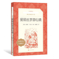 爱丽丝梦游仙境 三四五年级课外书必读经典书目语文阅读丛书书小学生课外阅读书籍名著小说漫游奇境记 人民文学出版社新华正版