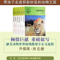 沈石溪动物小说全集升级版第三辑全套6册 三四五六年级小学生课外阅读书籍必读 老师推荐书籍 8-10-12-15岁少儿童读