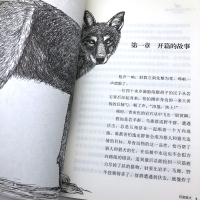 双面猎犬 沈石溪动物小说大王品藏书系/四五六年级中小学生课外读物/浙江少儿社/全套集系列完整升级版/正版