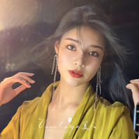 「宴会女王」复古时髦气质精致高级感闪耀长款闪钻流苏耳环/耳夹 闪耀流苏(925银针)