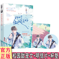 随机签名卡 那时微风正好[明信片+杯垫+番外X3]灼灼不停著WE-38正版Z1大鱼现代青春文学都市言情小说校园恋爱甜宠竞
