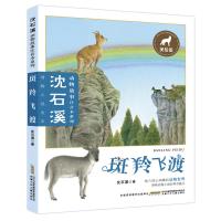 沈石溪动物故事注音本系列套装全5册 6-8-10-11岁儿童文学经典读物 小学生二三四五年级课外阅读老师推荐书 动物小说