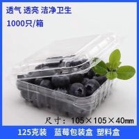 一次性水果盒透明塑料水果包装盒有盖保鲜盒草莓盒樱桃盒车厘子盒 蓝莓盒(约125g) 100个