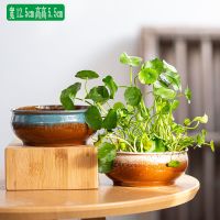 铜钱草花盆陶瓷清仓水仙睡莲碗莲荷花水培容器多肉特大号盆栽 冲量款-2个