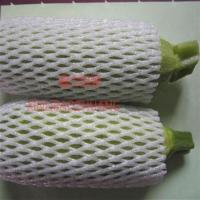 新款特价18*7CM西葫芦丝瓜黄瓜苦瓜珍珠棉泡沫防震保护网套. 20*7=660个