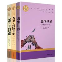 青少年学生必读世界经典十大名著简爱飘战争与和平巴黎圣母院书籍 悲惨+大卫+安娜