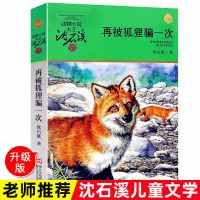 沈石溪动物小说全集正版 小学生四五六年级课外书狼王豹悲歌 沈石溪03--再被狐狸骗一次