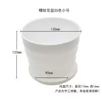 带花发货竹节海棠斑点四季秋海棠盆栽室内四季花卉带花带原土发货 花盆+种植礼包