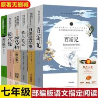 人教版西游记朝花夕拾镜花缘湘行散记白洋淀书七年级上册全套任选 部编版[七年级] [城南旧事]赠书签