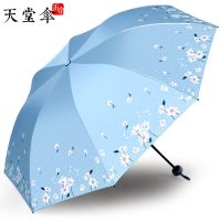 天堂伞黑胶遮阳伞大号女士晴雨两用太阳伞防晒防紫外线折叠超轻伞 [塞上邹菊]蓝色