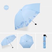 天堂伞超轻铅笔伞小巧便携太阳伞女防晒防紫外线遮阳伞晴雨两用 天蓝色 -不带黑胶