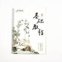 字帖楷书初中生 高中生字帖成人练字贴中小学生练习字帖男生清新 基础教程 赠1笔1握5消失笔芯