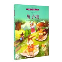 名家大奖系列绘本全套10册偷梦的妖精幼儿园一年级课外书睡前童话 国际大奖 兔子坡单本