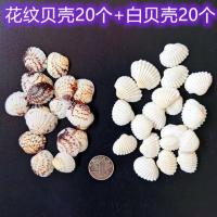 许愿瓶彩虹海洋瓶漂流星空瓶摆件贝壳海螺海星海豚海洋宝各种材料 白贝壳20个+花贝壳20个