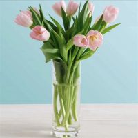 加厚水培郁金香一帆风顺玻璃器皿水养花卉办公室易活绿植摆件花盆 特价11*18