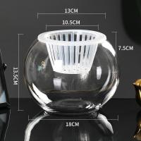 水培植物玻璃瓶水养绿萝花瓶花盆大号透明玻璃圆球鱼缸器皿容器 18圆球送加深水培篮 中等