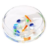 水培透明玻璃花瓶碗莲花盆圆形玻璃花瓶 金鱼缸花盆睡莲花盆 简约玻璃盆[肚径越19.5cm]