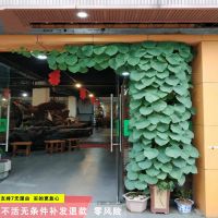 山乌龟金不换地不容 多肉植物盆栽室内外爬藤绿植防辐射除甲醛 血藤[裸根不带土] 直径6-8cm一个装[收藏送小礼]