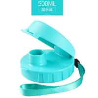 特百惠水杯盖子配件 杯盖500ml原装茶韵杯杯盖防漏水整盖 500ml湖水蓝-整盖 含:提绳+密封