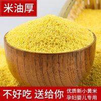 黄小米新米熬粥宝宝米月子米养米脂小米五谷杂粮胃粥特价5斤1斤 [米油大]2斤优质装