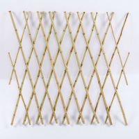 伸缩竹篱笆栅栏花园田草坪户外菜园小围栏庭院隔断护栏爬藤架竹竿 白竹 高60cm宽200cm