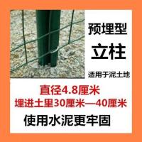 养殖网立柱荷兰网防护网铁丝网立柱立杆护栏网 1.2米高预埋