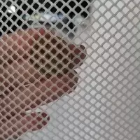 小孔塑料平网养殖网养蜂养蚕养鱼养鸭养鹅养鸡围栏网阳台防护网 白色-3毫米孔(网孔直径) 50厘米宽-1米长(需要几米拍几