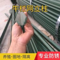 围栏立柱荷兰网立柱铁丝网围栏柱刺绳立柱支架铁皮柱杆子水泥地柱 1.5米高 实心铸铁立柱