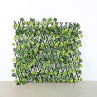 围栏杆隔离栏防腐栏杆植物伸缩围墙绿植护栏装饰绿植篱笆栅栏围栏 0.7米小接条海棠