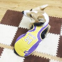 狗狗衣服春夏背心柯基法斗八哥泰迪狗背心湖人詹姆斯科比梅西皇马 湖人24 s