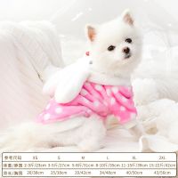 小狗狗衣服四脚宠物老虎变身衣泰迪比熊猫咪法斗小型犬幼犬秋冬装 (秋冬)波点兔两脚 XS