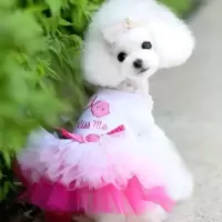宠物狗狗衣服春夏装 宠物裙子衣服 嘴唇纱裙猫咪小中用品婚纱 嘴唇裙粉红色 XS胸围30cm 背长20cm