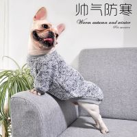 秋冬新款个性印花宠物衣服泰迪柯基比熊狗狗衣服中小型犬猫咪服装 浅灰色 XXL