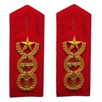 乐队肩章 文工团领花 肩牌 演出锣鼓乐队标志 硬肩金属仪仗服配饰 红色绒面