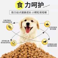 狗粮幼犬奶糕泰迪金毛拉布拉多土狗农村小颗粒幼犬小狗专用通用型 成犬1斤(试吃)