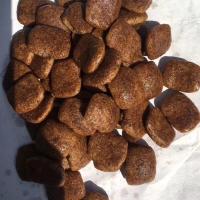 狗粮通用型大颗粒幼犬成犬边牧金毛马犬拉布拉多训犬专用2斤5斤10 大颗粒训犬可主食2斤